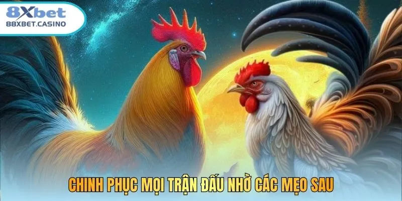 Chinh phục mọi trận đấu nhờ các mẹo sau