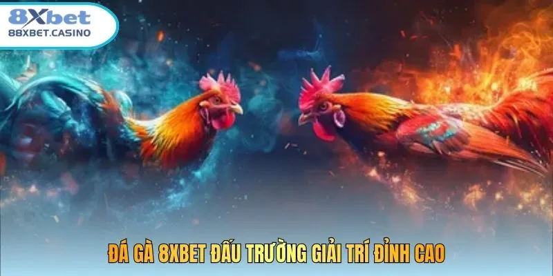 Đá gà 8XBET đấu trường giải trí đỉnh cao
