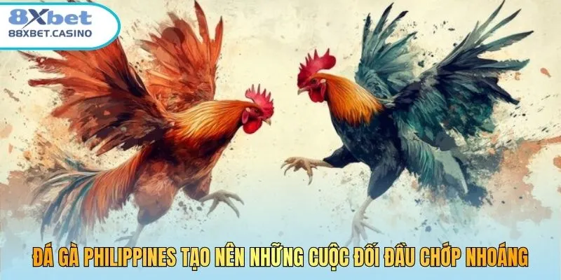 Đá gà Philippines tạo nên những cuộc đối đầu chớp nhoáng